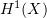 $ H^1(X) $