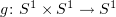 $ g\colon S^1\times S^1\to S^1 $