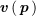 $ \vv(\pp) $