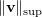 $ \Vert\vv\Vert_{\sup} $