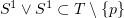 $ S^1\vee S^1 \subset T\setminus\{p\} $
