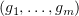 $ (g_1,\ldots,g_m) $