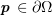 $ \pp\in\partial\Omega $