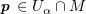 $ \pp\in U_\alpha\cap M $