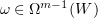 $ \omega\in \Omega^{m-1}(W) $