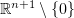 $ \R^{n+1}\setminus\{0\} $