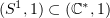 $ (S^1,1)\subset (\C^*,1) $