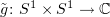$ \tilde g\colon S^1\times S^1\to \C $